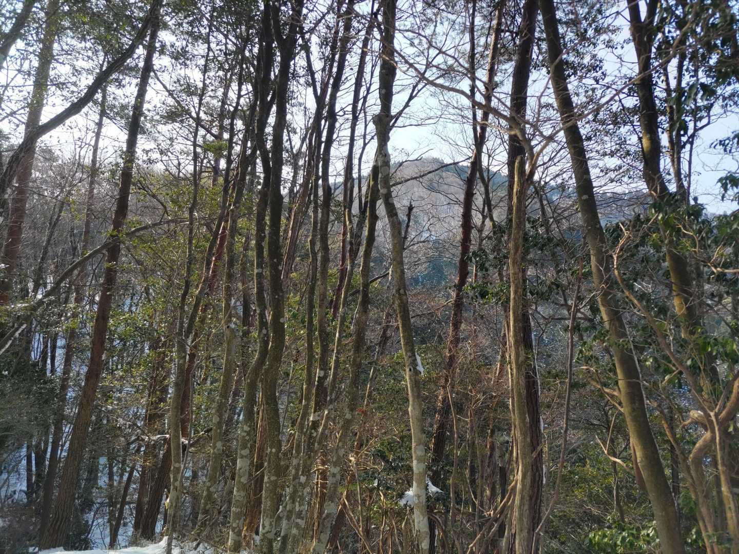 急登を30分以上下り、先程踏破した常床山をパチリ📷️

素晴らしい佇まいに優越感😙