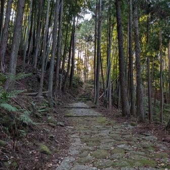 稜線が見えた