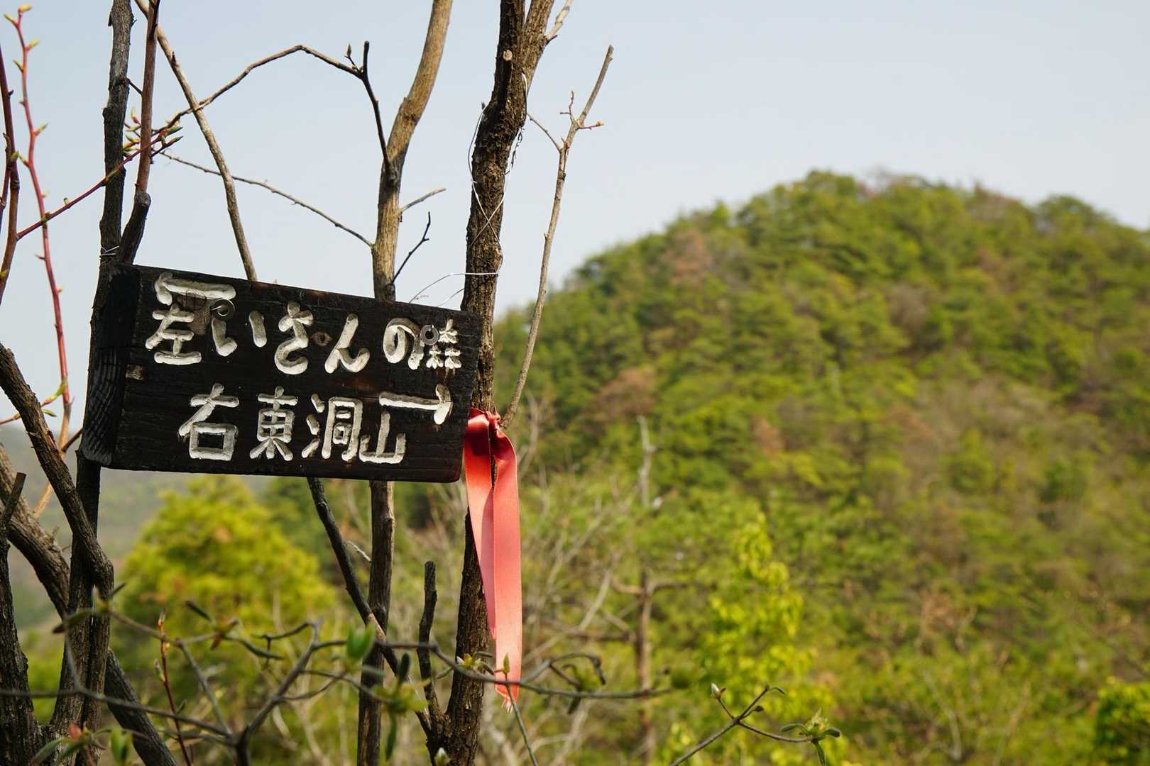 無事ルート復帰で開けたところで東洞山
先に北山へ

