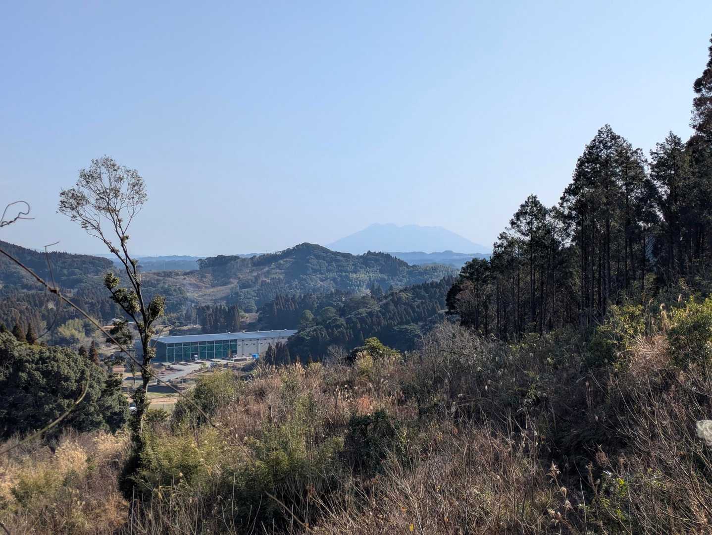 おー、桜島が見える