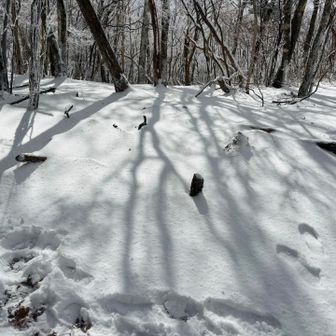 冷たいはずなのに

じんわりと温もりが伝わってきて

あったかそうだな、

そんな錯覚を覚えながら

ゆっくりまったり

楽しめました⛄️

