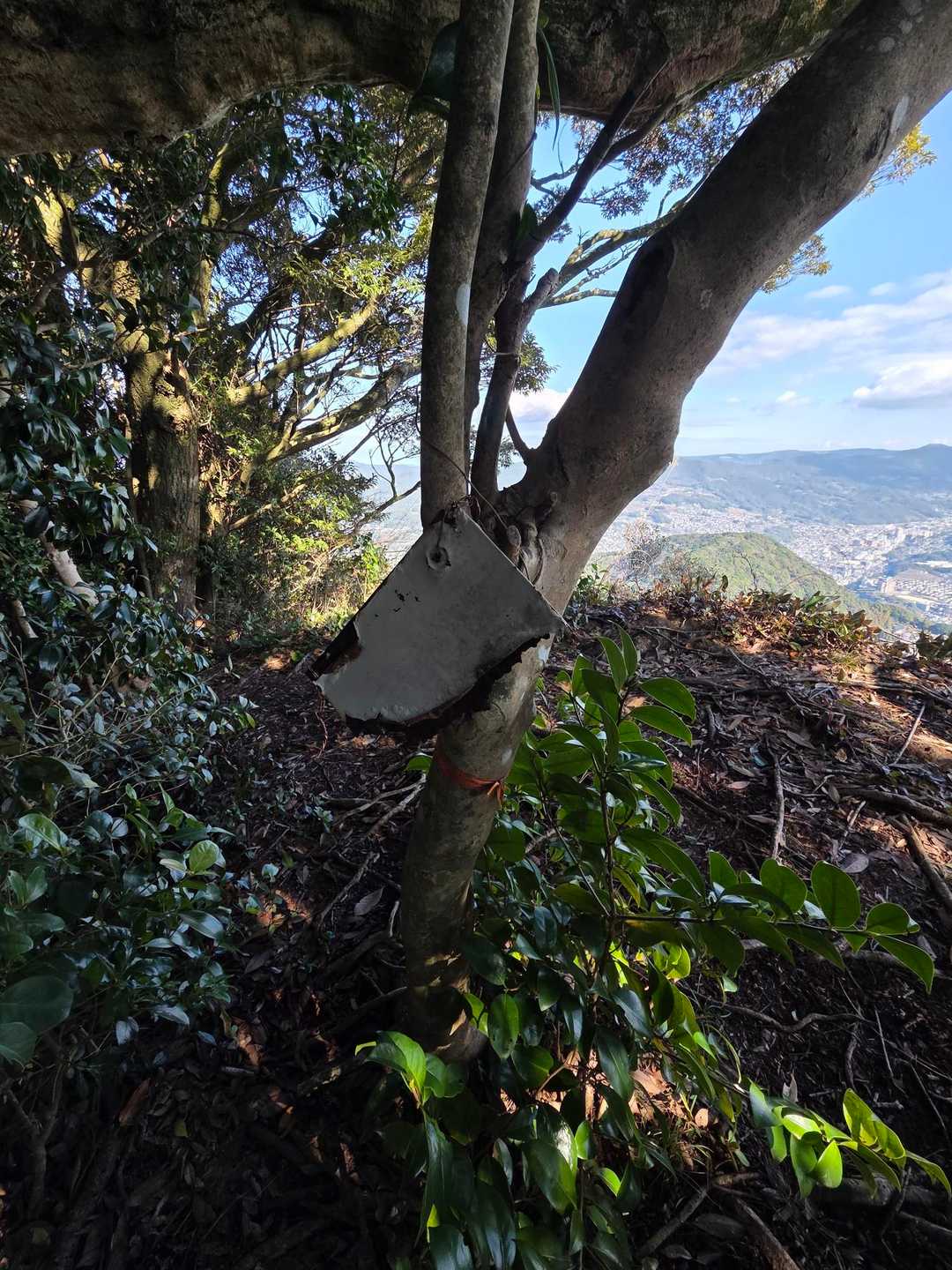 高筈岳かな