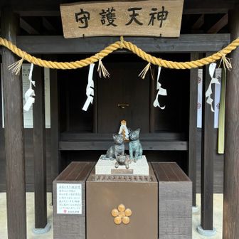 猫ちゃんが祀られている守護天神さん
多分この裏の方(多分神社内ではない)に日神山の山頂あると思われ