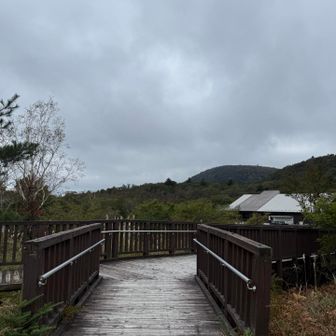 山の駅たかはらの屋根