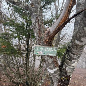 到着👏六月にはツツジが綺麗だから今年もぜったい行きたい😍