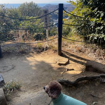 建長寺の上にある勝上獄展望台