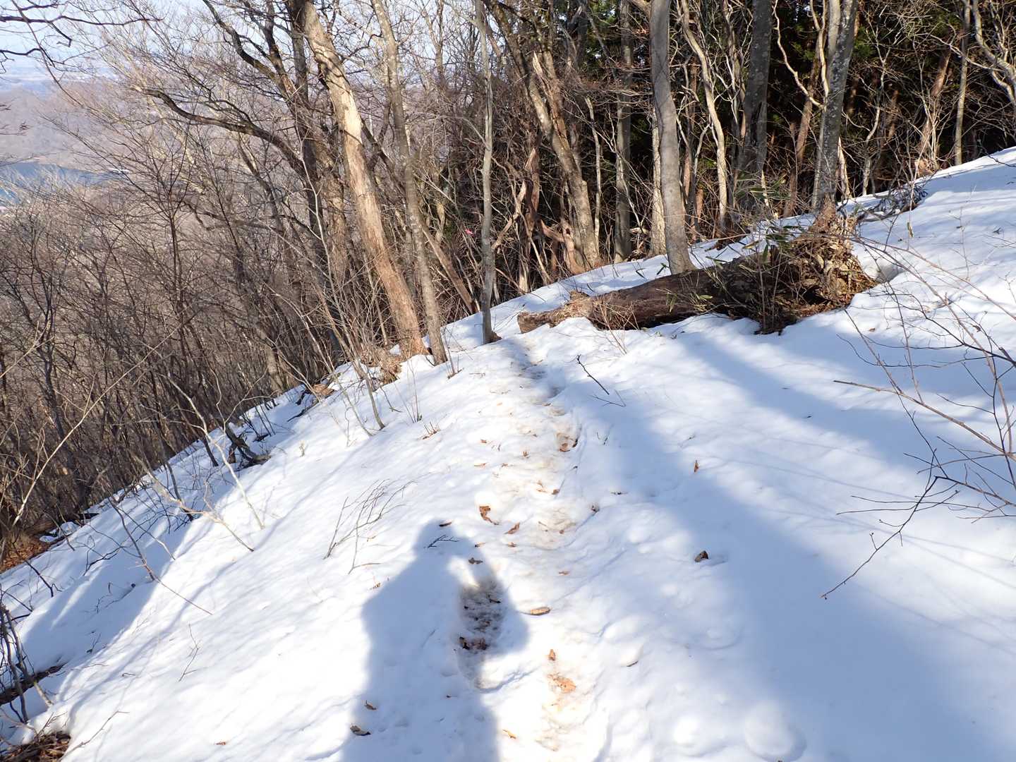 難波御門登山口へ下る。こちらのコースはしっかり積雪。
