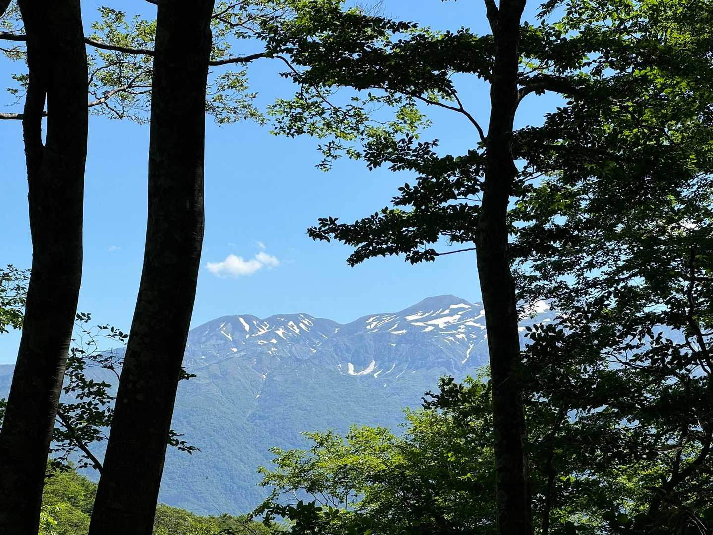 小原峠-赤兎山 往復コースの写真