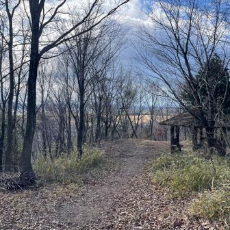 寒いけどまだ雪は降っていません。松岡山へ先に行く予定でしたが行けなかったので先にこちらへ