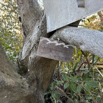 もう消えかかって見えないけど、六道輪廻ヶ岳って書いてるのかな？
同行した先輩が、六道（ろくどう）って、あの世とこの世の境目のことらしいとか言うのでちょっとどきどきしながら歩いたw🤣
