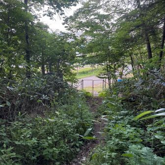 道路が見えて😮‍💨　　
凄く時間がかかりました。
反省してます。　でも　行けて良かった。
芦別岳万歳🙌です。