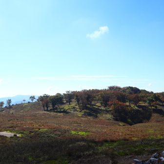 テーブルランド
山頂なのにこんな景色がずーと広がっています