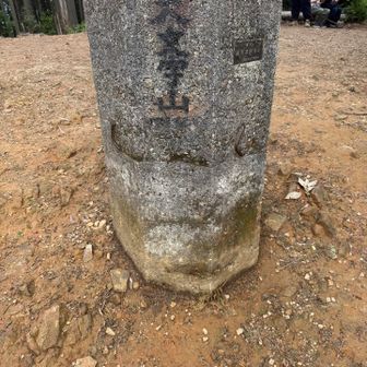 今日は慎重に歩いたこと蒸し暑かったのと3週間ぶりってことで時間かかった