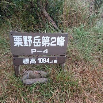 はい
栗野岳第2峰にとうちゃこ😎

眺望ないんで、スル〜