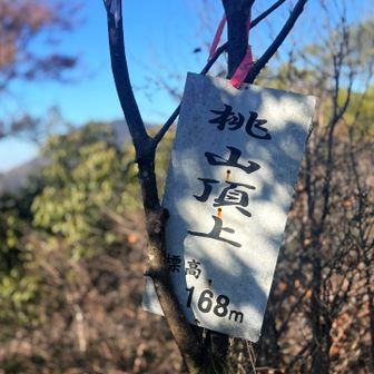                   桃山⛰️ (ももやま)：約168m

                               初 ✨登頂 🙌

                        頑張りました〜 \( ˆoˆ )/
