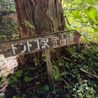 下山しました💦