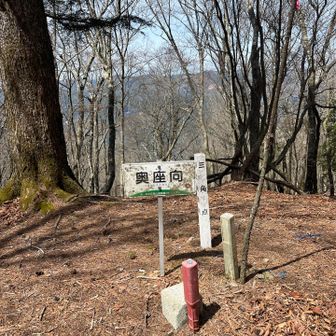 41座目 奥座向登頂⛰️