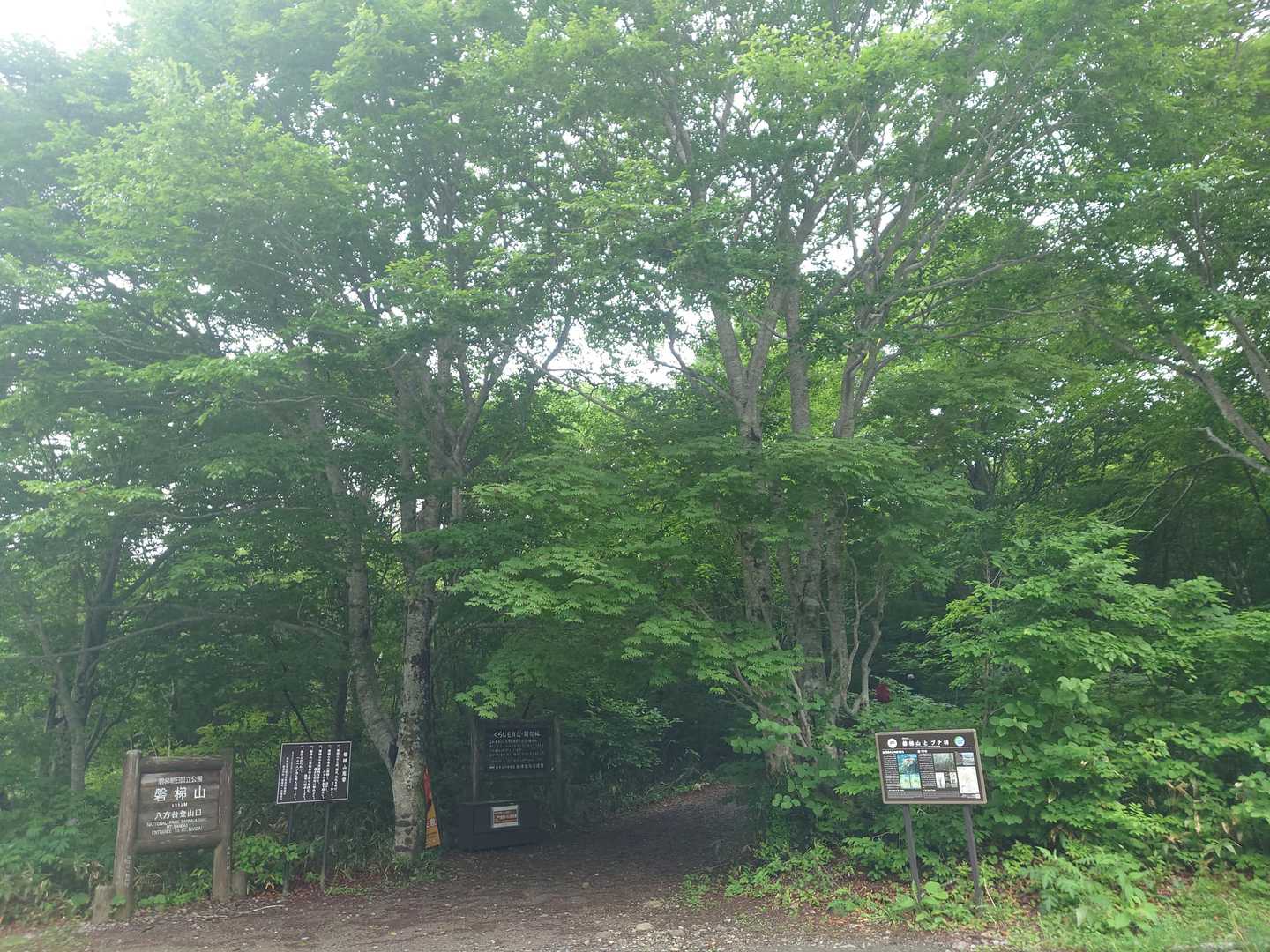 此処から登ります〜