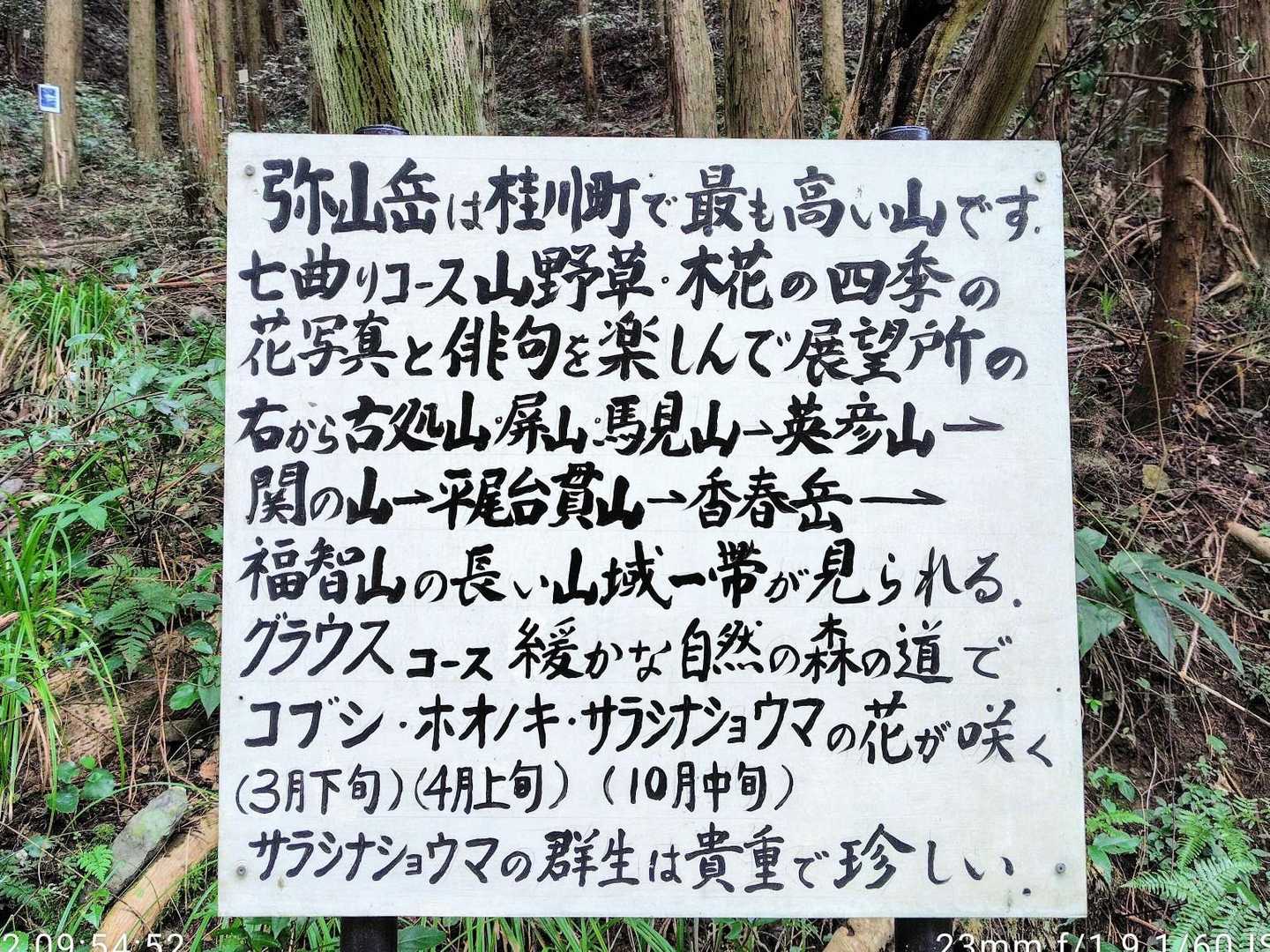 弥山岳 往復コースの写真
