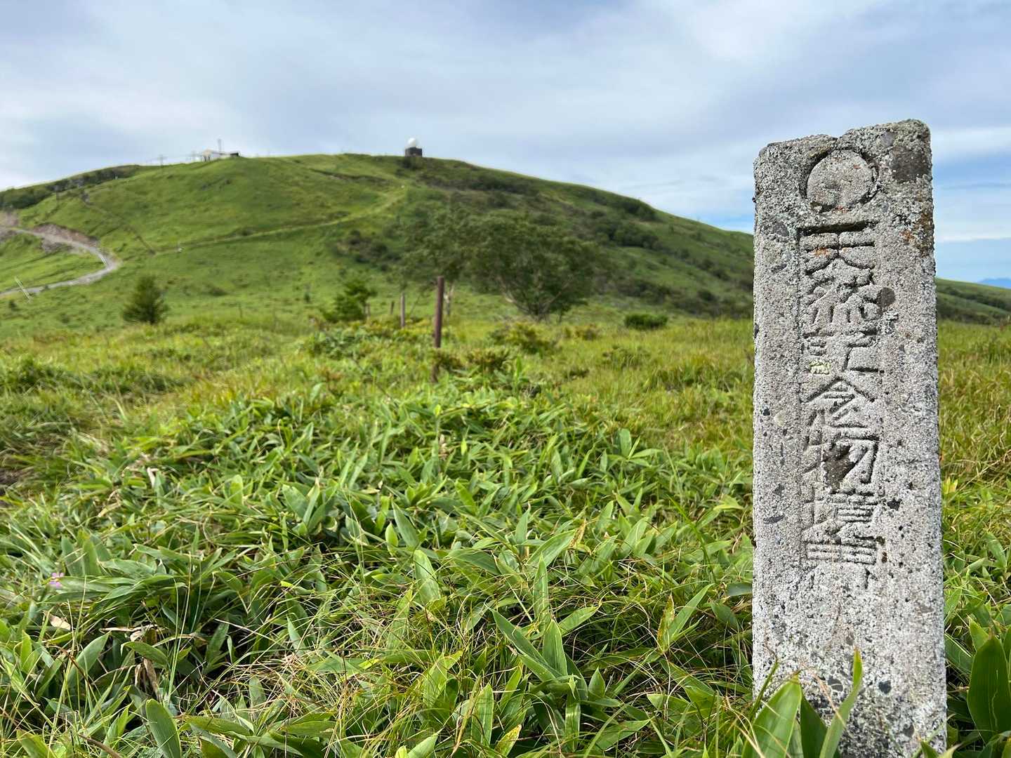「天然記念物境界」の石碑
初めて見ました😄