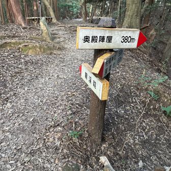 右から来て、山頂は左へ