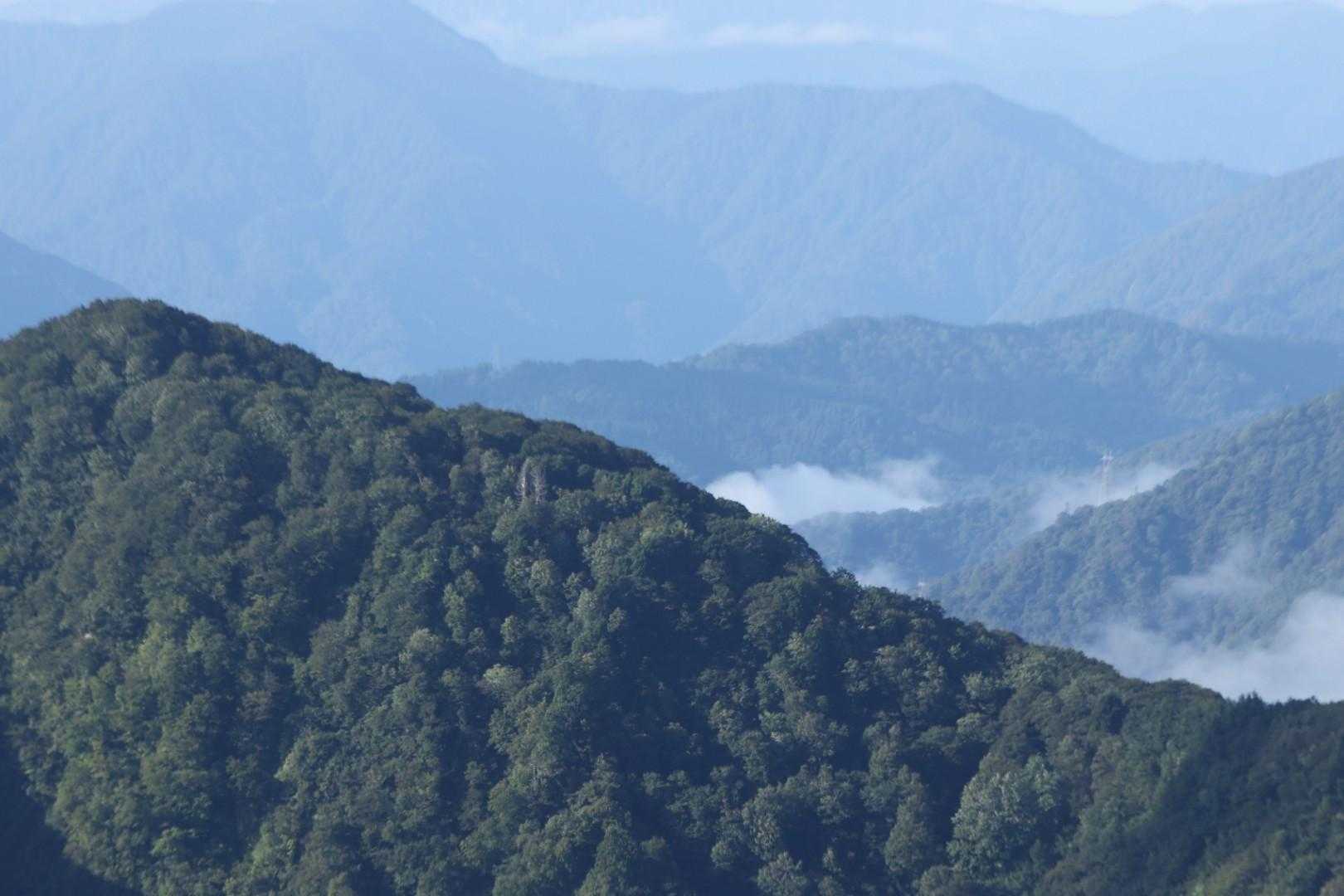 牛岳 周回コースの写真