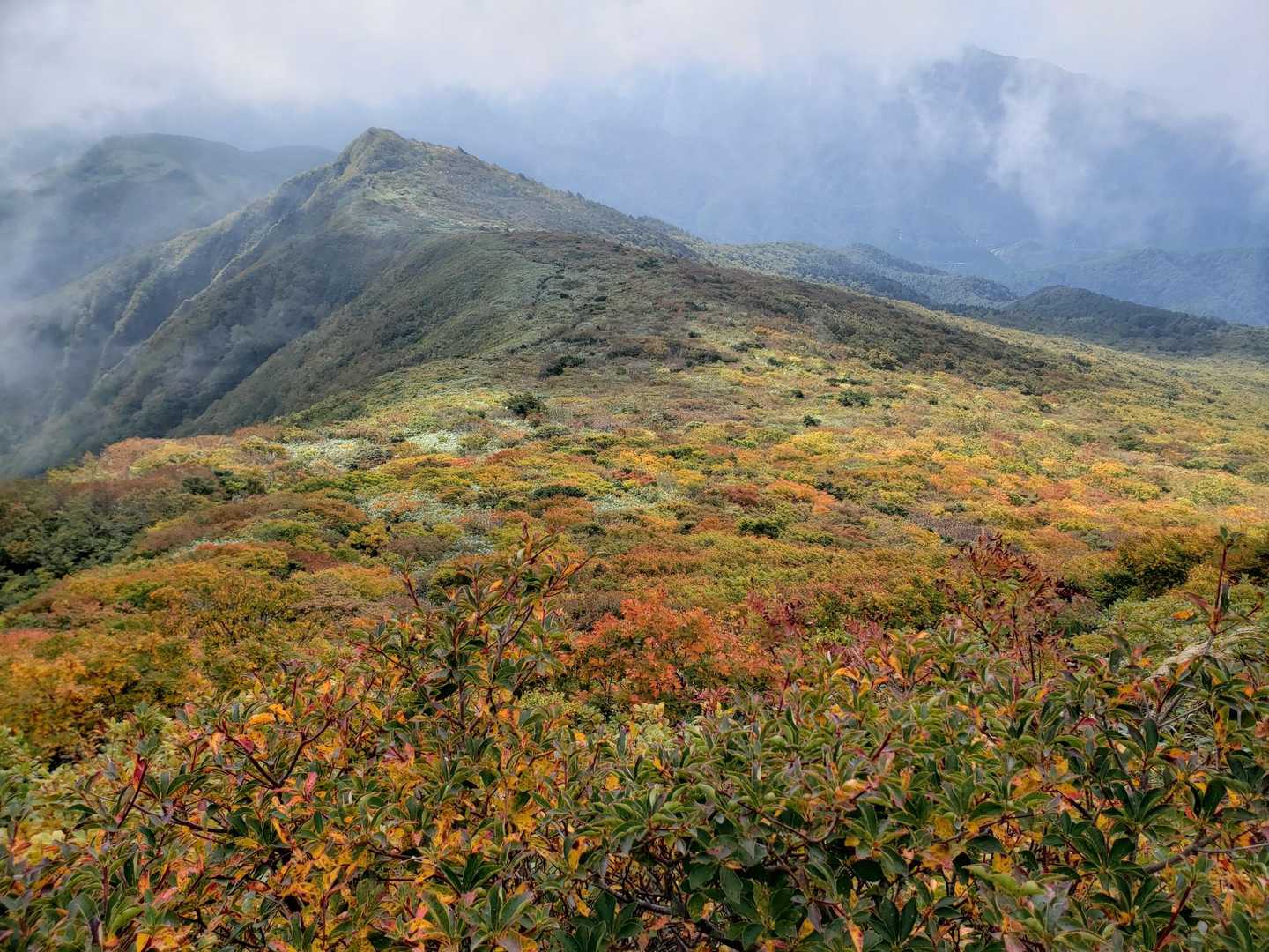 大関山-ハマグリ山-トンガリ山-山形神室岳 往復コースの写真
