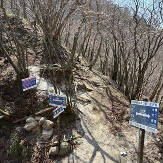 繰り返すアップダウンに
へばってきた😵