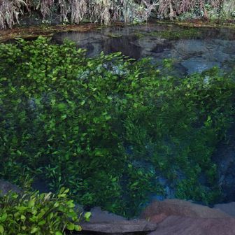 水底から、今も透き通るアクアブルーの水が湧き続ける。