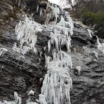 バーン‼️
とかやってると、
デカいツララが高くから落ちてくる😱笑