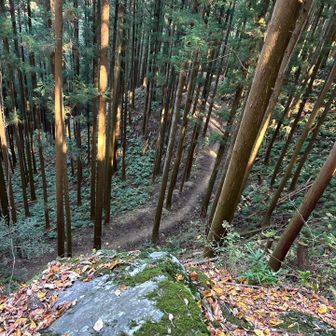 間違って下に行っても後で合流はするけどね