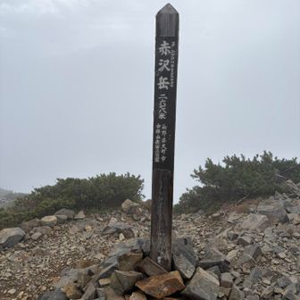 赤沢岳に着くころにはガスの中😅