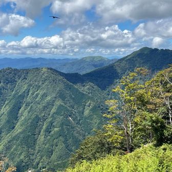石立山までここから5時間位
無理です💦
引き返し分岐からジル沢に下ります