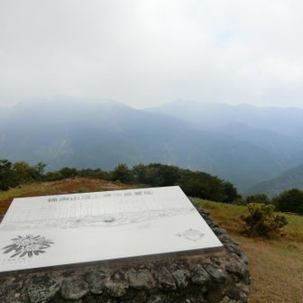 やっぱり景色見えないか…
と思ってたら…