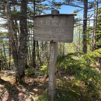 大無間山登頂👍🏻

崩落地よりもアップダウンの無限地獄が大変だった！まだ半分だけど💦