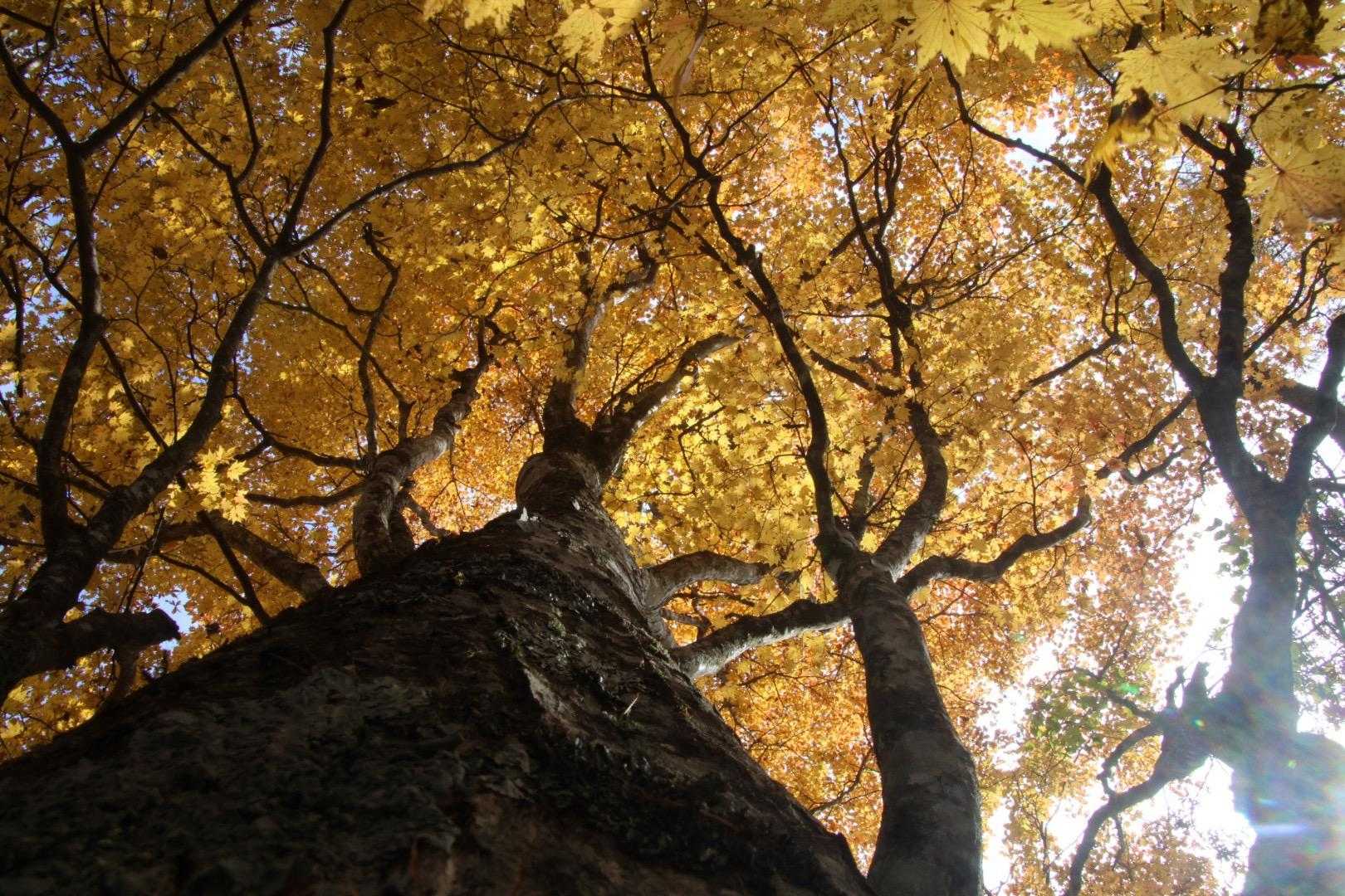 道坂隧道入口バス停-道坂峠-今倉山-松山-二十六夜山-芭蕉 縦走コースの写真