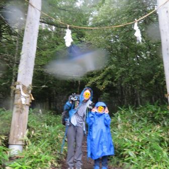 ラスト20分くらいで雨が☔
あー間に合わなかった💧でも、急な下り坂も終わって、緩やかな道に入っていたので良かった☺️
次男くんは新しいカッパに身を包んで楽しそうにゴール👏
よく頑張りました😊