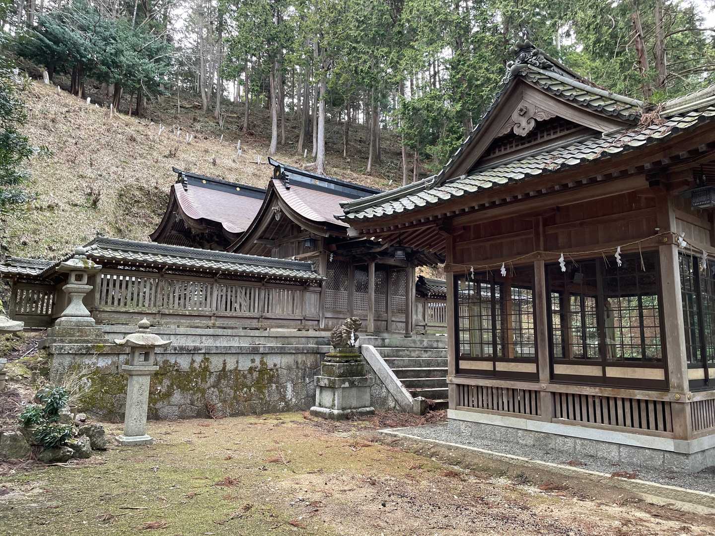 下山すると神社に出ました⛩