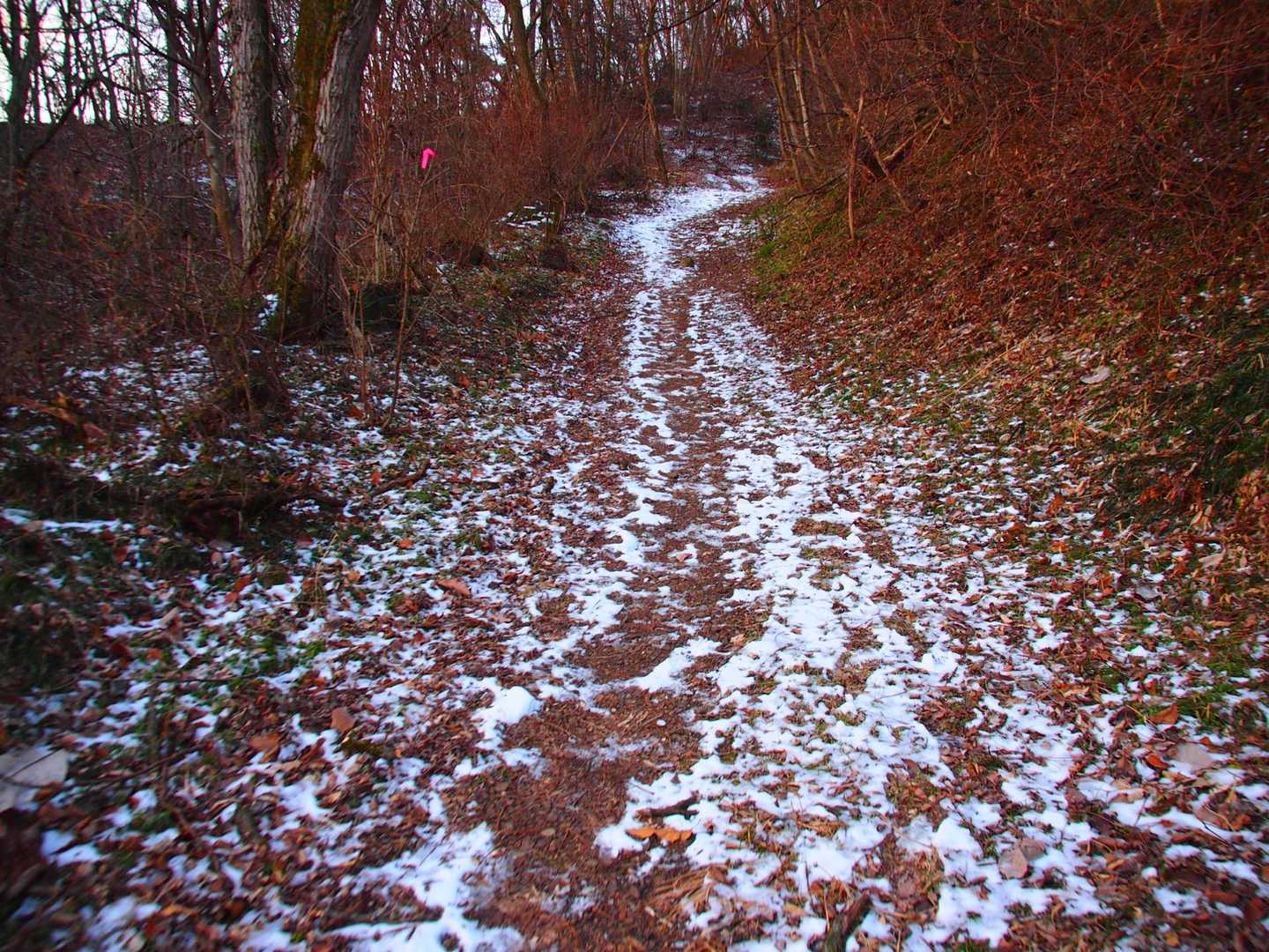 ちょっと雪がありまして☃️