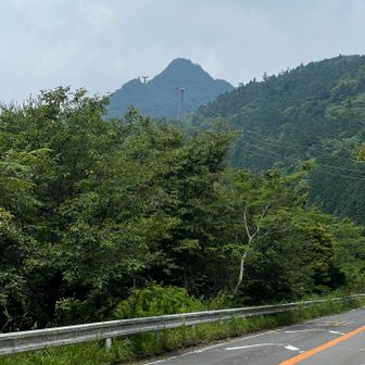 桜山キャンプ場跡地から駐車場まで上がって来ましたが、キャンプ場跡地はかなり荒れてます。
ススキ🌾が背丈程あり、道が埋もれてました。
ストックでかき分け登りましたが途中で手から離れたのに気付かず「アッ、無い❗️」😵
戻って探す👀…アッ❗️あった‼️