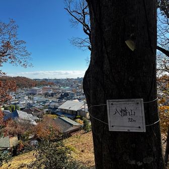 さぁ、あとは最初のお寺の屋根を目印に戻ります。