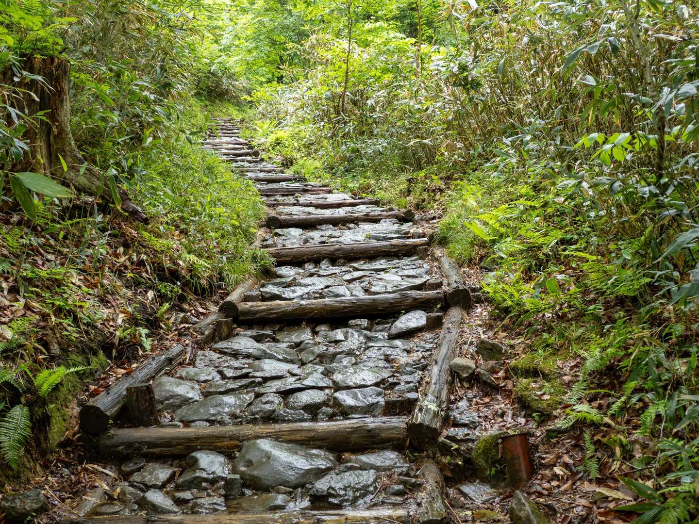 最後の登り
石の階段です