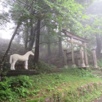 白い馬があれば、山頂はその先