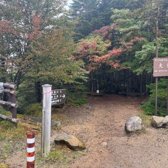 大弛峠到着❗️広くない駐車場が結構埋まってました
