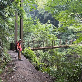 小さい頃からお気に入りだった4号路の吊り橋