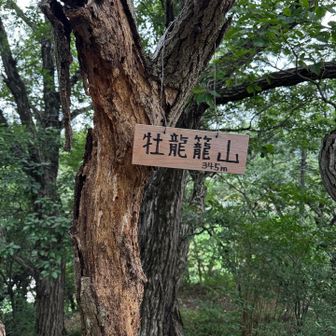 牡龍籠山。