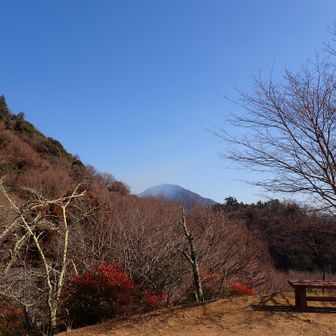 延焼止まらんな