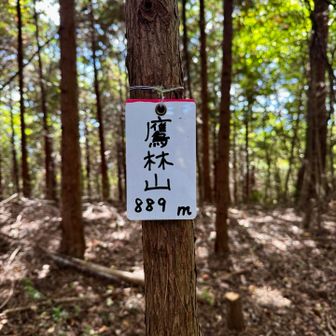 駐車場まで戻って来て近くの鷹林山にも登ってみました💪🏻