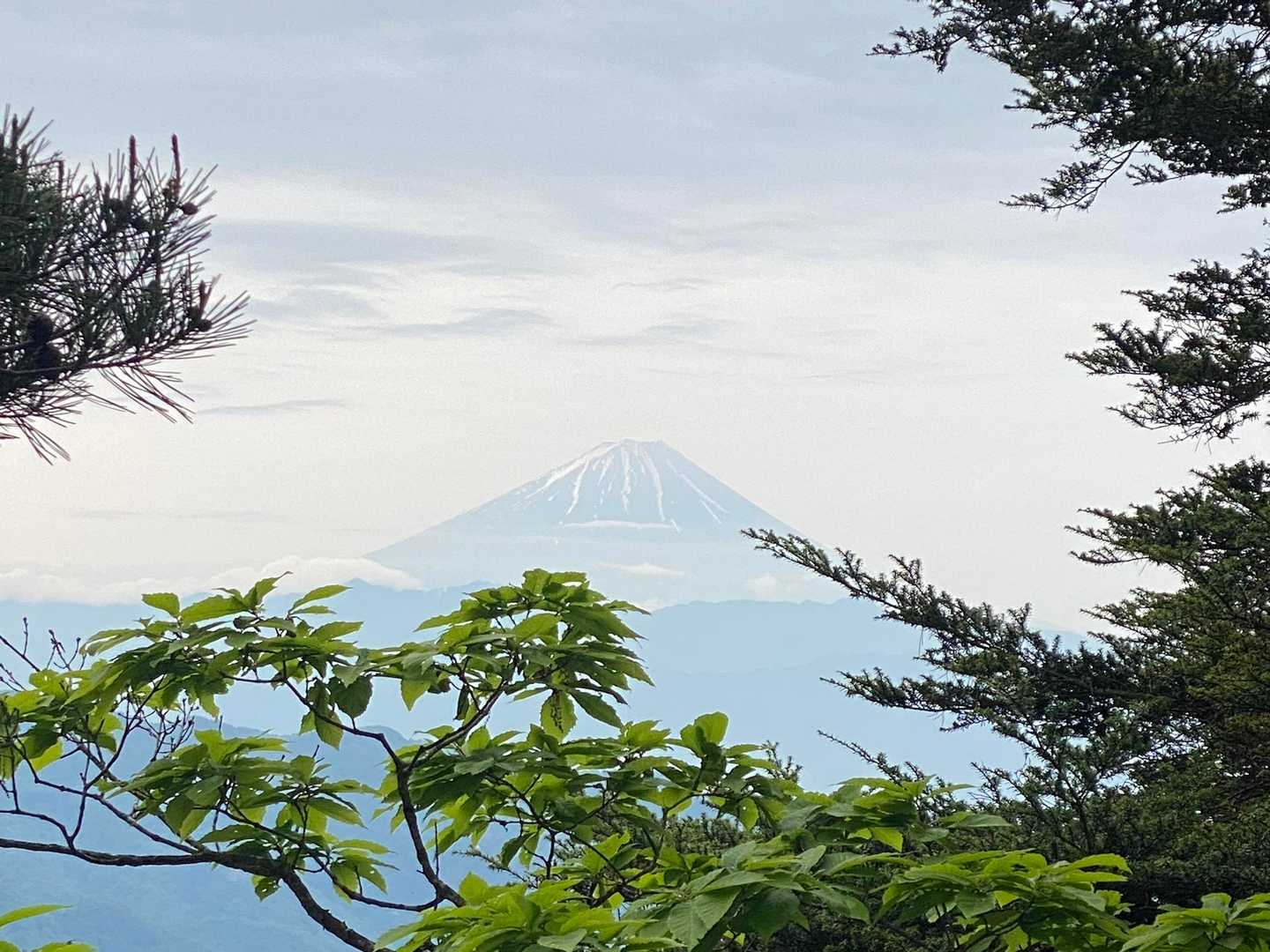 うっとりするくらい見事😍