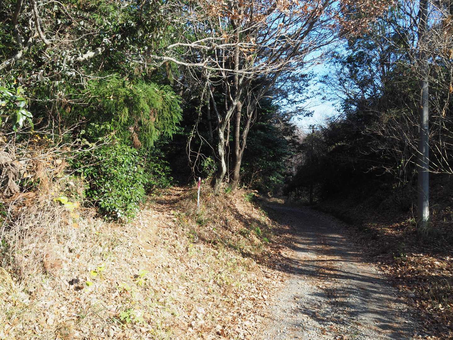 八菅山の山頂は左に入ります